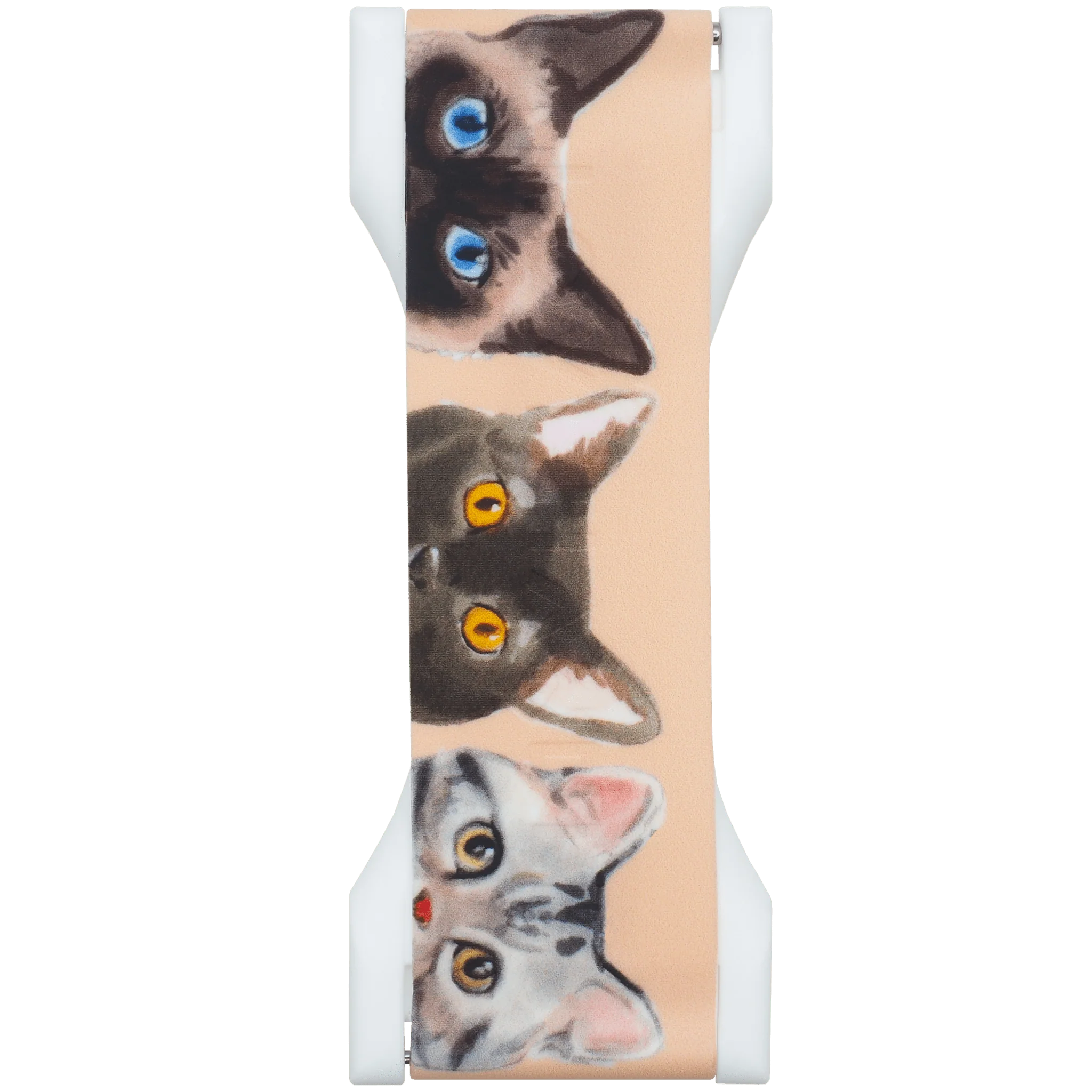 PRO - Curious Cats - Image 2